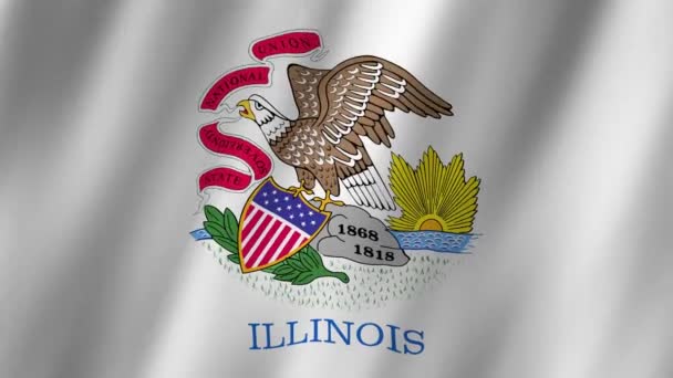 イリノイ州旗 イリノイ州旗の編成 イリノイ州のフラッグビデオが風に揺れている イリノイ州の国旗 アニメーション — ストック動画