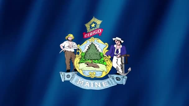Maine Flag Maine State Flag Waving Flag Maine Video Mává — Stock video