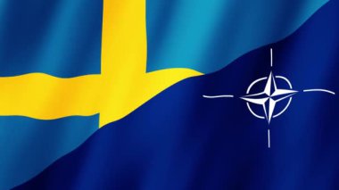 SwedenNATO. Nato İsveç Bayrakları. Nato İsveç Bayrakları 'nın rüzgarda sallanan video görüntüleri. NATO ve İsveç bayrakları 4K Canlandırması