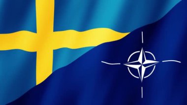 NATO İsveç Bayrakları. Nato İsveç Bayrakları dalgalanıyor. SwedenNATO Bayrakları 'nın rüzgarda sallanan video görüntüleri. NATO ve İsveç bayrakları 4K Canlandırması