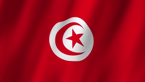 Tunisien Flagga Nationell Tunisien Flagga Viftande Flagga Tunisien Video Viftar — Stockvideo