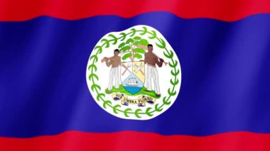 Belize Bayrağı. Ulusal 3d Belize bayrağı dalgalanıyor. Belize 'nin bayrağı rüzgarda sallanan video kaydı. Belize 4K Canlandırması Bayrağı