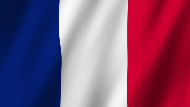 フランス国旗 フランスの国旗 風で波動するビデオ — ストック動画