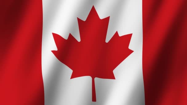Flaga Kanady Flaga Kanady Materiał Wideo Machanie Wietrze — Wideo stockowe