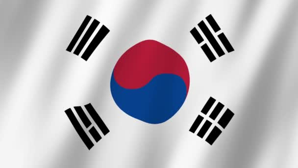 Jihokorejská Vlajka Vlajka Jihokorejského Videa Vlnící Větru — Stock video