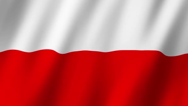 Polonya Bayrağı Polonya Bayrağı Rüzgarda Dalgalanan Video Kaydı — Stok video