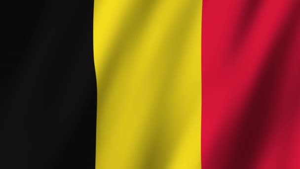 Belgická Vlajka Vlajka Belgie Záběry Video Mávání Větru — Stock video