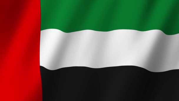 Прапор Оае Прапор Єднаних Арабських Еміратів Відео Махаючи Вітрі — стокове відео
