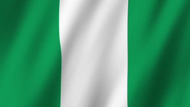 Bandiera Della Nigeria Bandiera Della Nigeria Filmato Sventolando Vento — Video Stock