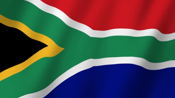남아프리카 공화국 바람에 흔들리는 비디오 남아프리카 공화국의 — 비디오