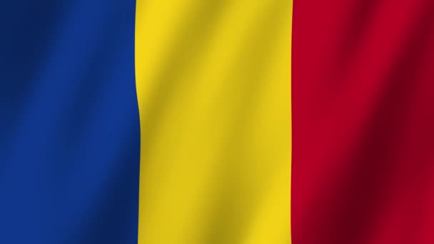 Прапор Румунії Прапор Румунії Кадри Відео Махаючи Вітрі — стокове відео