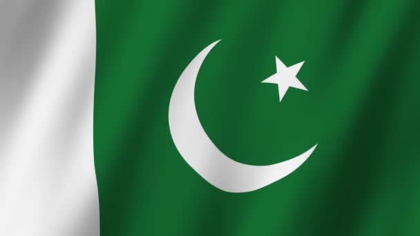 パキスタンの国旗 パキスタンの旗 風に振るビデオ — ストック動画