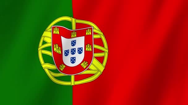 포르투갈 포르투갈의 비디오 바람에 흔들림 — 비디오
