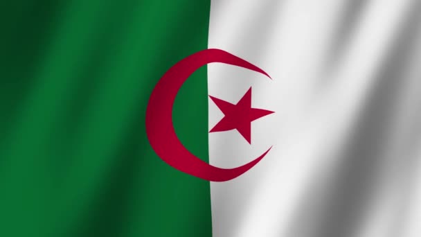 Algeriet Flagga Flagga Algeriet Video Viftar Med Vinden — Stockvideo