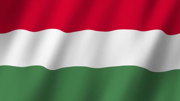 Flaga Węgier Flaga Węgier Materiał Wideo Machanie Wietrze — Wideo stockowe