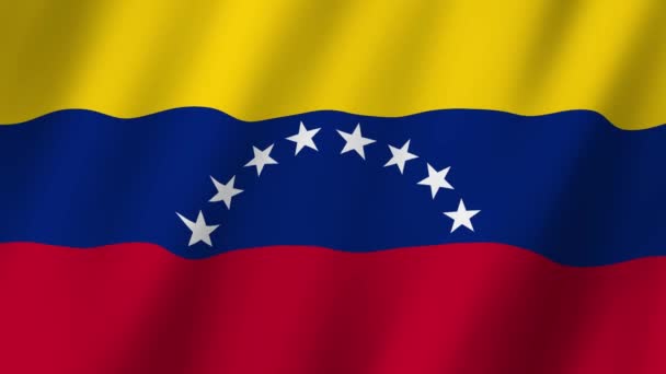 委内瑞拉国旗 委内瑞拉国旗视频在风中飘扬 — 图库视频影像
