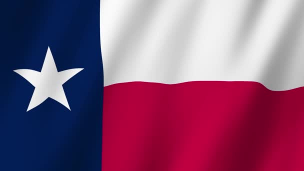 Texaská Vlajka State Texas Flag Waving Vlajka Texaského Videa Vlnícího — Stock video