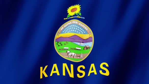 Kansaská Vlajka Vlajka Záběrů Kansasu Vlnící Větru Vlajka Kansasu Animation — Stock video