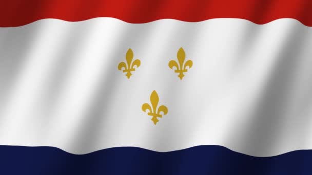 Bandera Nueva Orleans Video Bandera Nueva Orleans Ondeando Viento Bandera — Vídeos de Stock