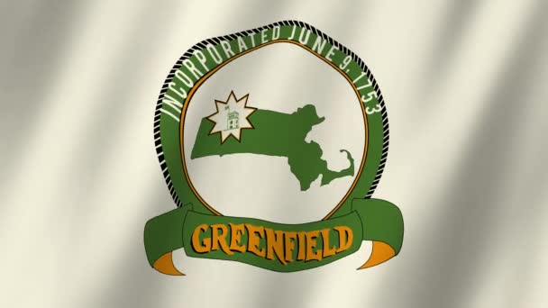 グリーンフィールドの旗 風が吹いているグリーンフィールドの映像のフラグ グリーンフィールド4Kアニメーションの旗 — ストック動画