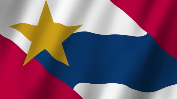Lafayette Flagge Die Flagge Von Lafayette Louisiana Zeigt Ein Video — Stockvideo