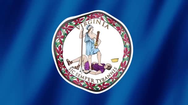 Virginia Flag Flagga Virginia Video Vinkar Vinden Virginia State Flag Royaltyfri Stockfilm