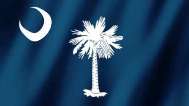 Güney Carolina Bayrağı. Güney Carolina 'nın bayrağı rüzgarda sallanan video kaydı. Güney Carolina Eyalet Bayrağı 4K Canlandırması