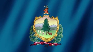 Vermont Bayrağı. Vermont 'un bayrağı rüzgarda sallanan video kaydı. Vermont Eyalet Bayrağı 4K Canlandırması