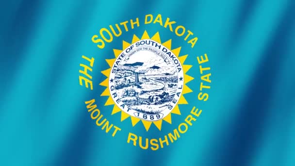 Zuid Dakota Vlag Vlag Van South Dakota Beeldmateriaal Video Zwaaiend — Stockvideo