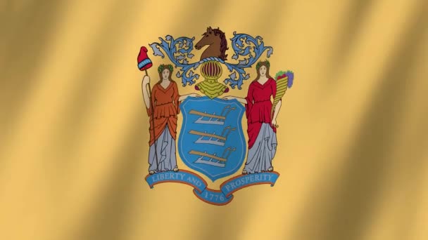 Σημαία Νέας Ιερσέης Σημαία Του New Jersey Βίντεο Κυματίζει Στον — Αρχείο Βίντεο