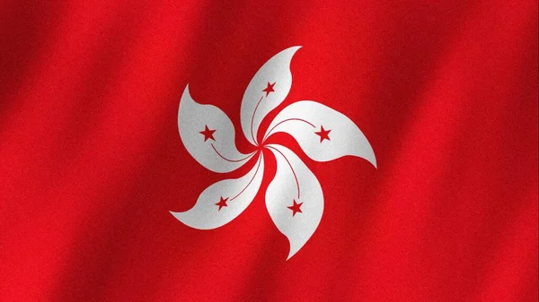 Hong Kong flag waving in the wind. Flag of Hong Kong images