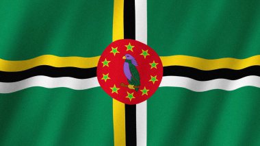 Dominica bayrağı rüzgarda dalgalanıyor. Dominica resimlerinin bayrağı
