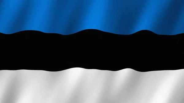 Estonia flag waving in the wind. Flag of Estonia images