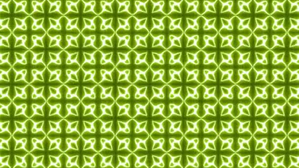Kaleidoscope Psychedelic Loop Animation Background Ilustração Gráfica Mandala Pattern Geometric — Vídeo de Stock