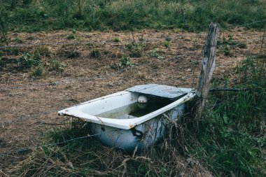 Eski ve kirli küvet tarladaki hayvanlar için bir su yalağına dönüştü. Sürdürülebilirlik, geri dönüşüm ve çevre kavramı