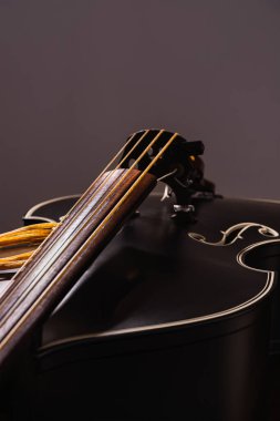 Side view of a double bass with resonant body, f-holes or tuning pegs, bridge, strings, partial neck and fingerboard, clip-on tuner on the bridge, sides, purfling, and new gut strings. Concept for music, double bass, rockabilly, rock 'n' roll, and ja clipart