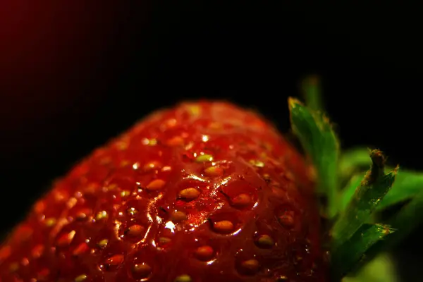 Frische Reife Rote Erdbeere Mit Wassertropfen Makro — Stockfoto