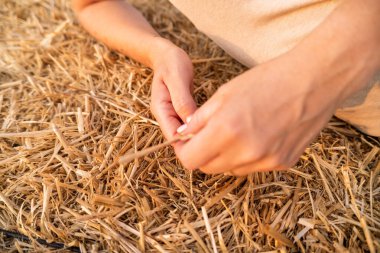 Dişi çiftçi gün batımında saman balyasını inceliyor, hasat edilen mahsullerin kalitesini ve kuruluğunu kontrol ediyor.