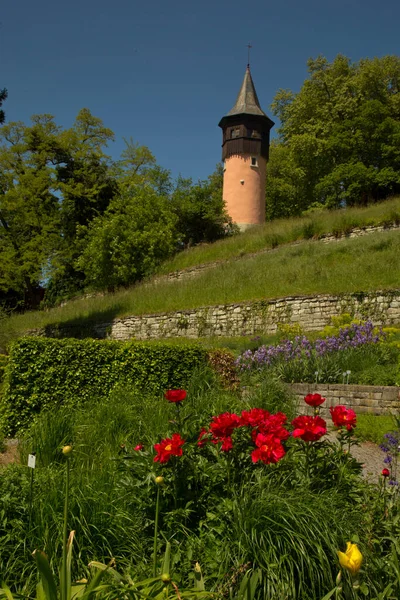 Инау Германия Января 2022 Года Шведская Башня Острове Майнау Германия — стоковое фото