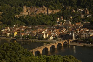  HeideELBERG, Almanya, 08 Temmuz 2022. Almanya 'nın Neckar Nehri' ndeki Heidelberg Kalesi manzarası.