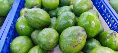 taze avokado dokusu ve pazar kaynaklı arka plan