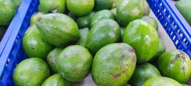 taze avokado dokusu ve pazar kaynaklı arka plan