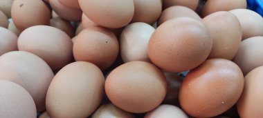 Piyasadan taze yumurta arkaplan ve doku
