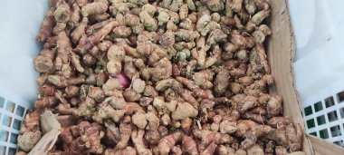 beyaz sepetin üzerinde zerdeçal yasağı arka planı ve dokusu