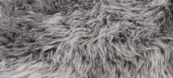 黒と白の毛皮の背景と質感 — ストック写真