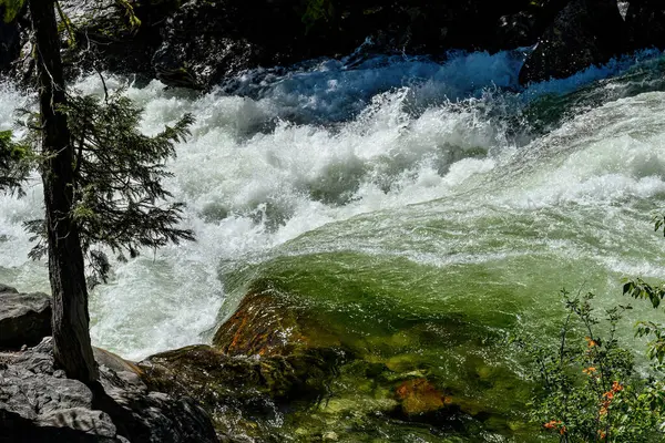 Krásné Zelené Vodní Peřeje Jarními Barevnými Akcenty Icicle River Leavenworth — Stock fotografie