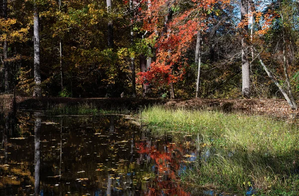 Helle Herbstfarben Die Sich Teich Spiegeln — Stockfoto