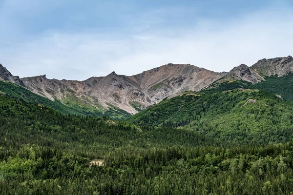 Krásný Svah Pokrytý Skálami Zelení Který Nachází Denali Aljaška — Stock fotografie
