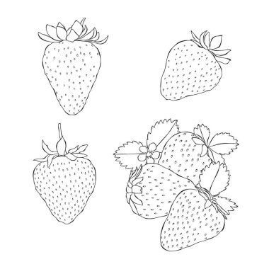 Çilekler beyaz arka planda elle çizilmiş vektör çizimi