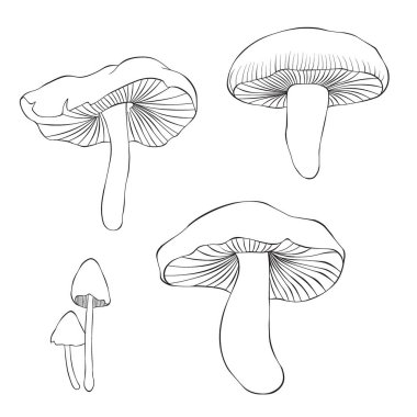 Mantarı beyaz arka planda izole et. Taslak biçiminde vektör illüstrasyonu.